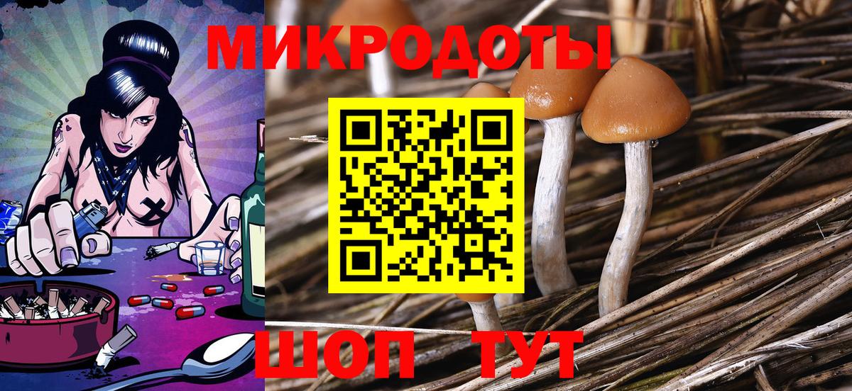 Галлюциногенные грибы Magic Shrooms  Вход с VPN  Тавда 