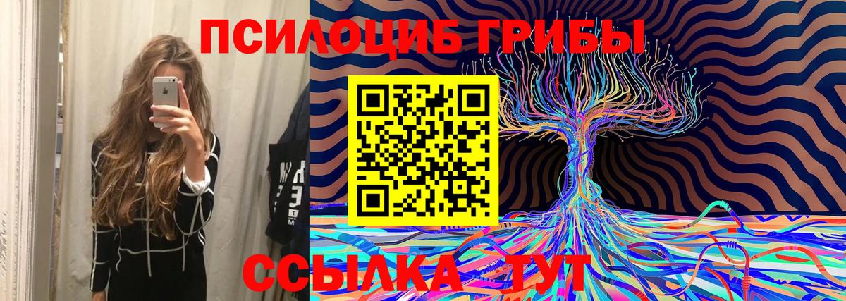 Галлюциногенные грибы мухоморы Тавда